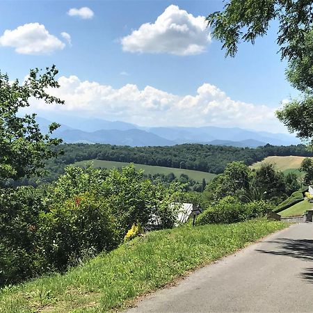 Les Gites De La Maison Bleue D'Estialescq Esterno foto