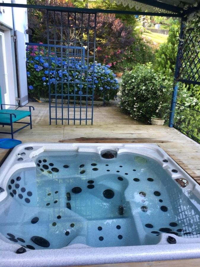 Les Gites De La Maison Bleue D'Estialescq Esterno foto