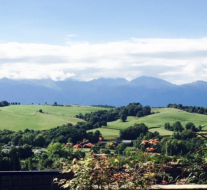 Les Gites De La Maison Bleue D'Estialescq Esterno foto