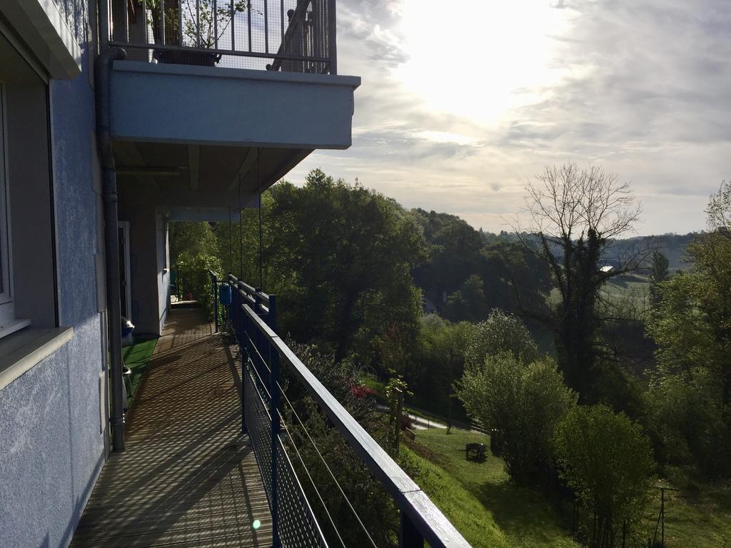 Les Gites De La Maison Bleue D'Estialescq Esterno foto